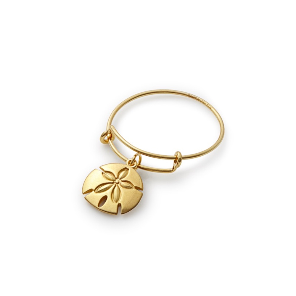 Alex and Ani sand dollar ring
